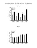 Methods of regulating differentiation in mammals diagram and image