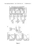 Compositions and Methods Related to RAD51 Inactivation in the Treatment of Neoplastic Diseases, and Especially CML diagram and image