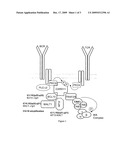 METHODS FOR CANCER TREATMENT USING TAK1 INHIBITORS diagram and image