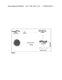 ENCAPSULATED NANOPARTICLES FOR DRUG DELIVERY diagram and image