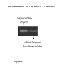 ENCAPSULATED NANOPARTICLES FOR DRUG DELIVERY diagram and image