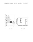 Rasagiline for parkinson s disease modification diagram and image