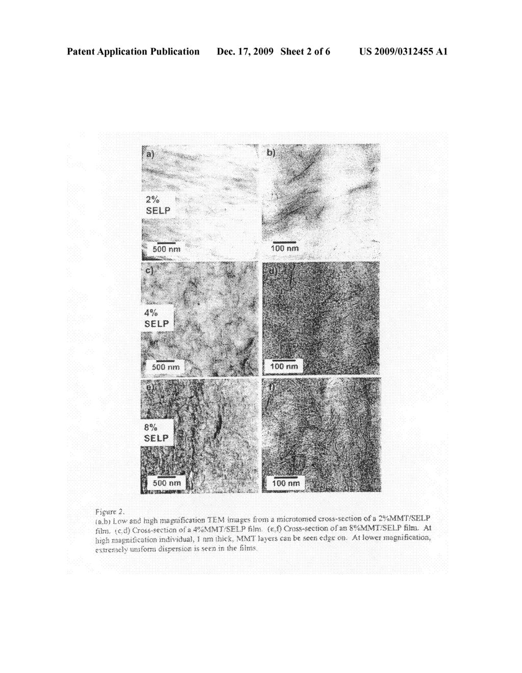 Nanocomposites of repeat sequence proteins and phyllosilicate clays and their preparation - diagram, schematic, and image 03