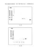 SYNTHETIC ACTIVE PEPTIDE FRAGMENTS diagram and image