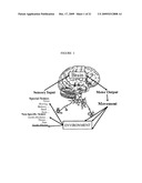 Systems And Methods For Altering Brain and Body Functions And For Treating Conditions and Diseases Of The Same diagram and image