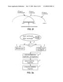 Method for Trained Discrimination and Attenuation of Echoes of a Digital Signal in a Decoder and Corresponding Device diagram and image