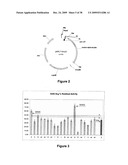 Geobacillus Stearothermophilus Alpha-Amylase (AmyS) Variants with Improved Properties diagram and image