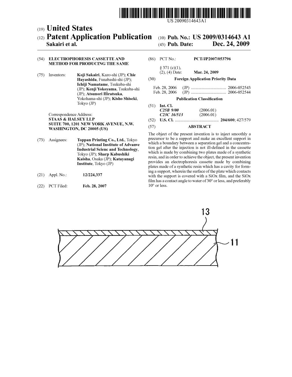 Electrophoresis Cassette and Method for Producing the Same - diagram, schematic, and image 01