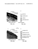 Biomimetic Microfabricated Compound Eyes diagram and image