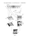 SIGNAL PROCESS AND SYSTEM diagram and image