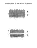 PRINTHEAD HAVING ISOLATED HEATER diagram and image