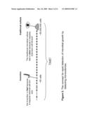 RAPID DETECTION OF REPLICATING CELLS diagram and image