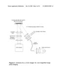 RAPID DETECTION OF REPLICATING CELLS diagram and image