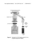 RAPID DETECTION OF REPLICATING CELLS diagram and image