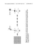 RAPID DETECTION OF REPLICATING CELLS diagram and image