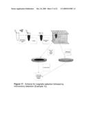 RAPID DETECTION OF REPLICATING CELLS diagram and image