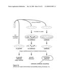 RAPID DETECTION OF REPLICATING CELLS diagram and image