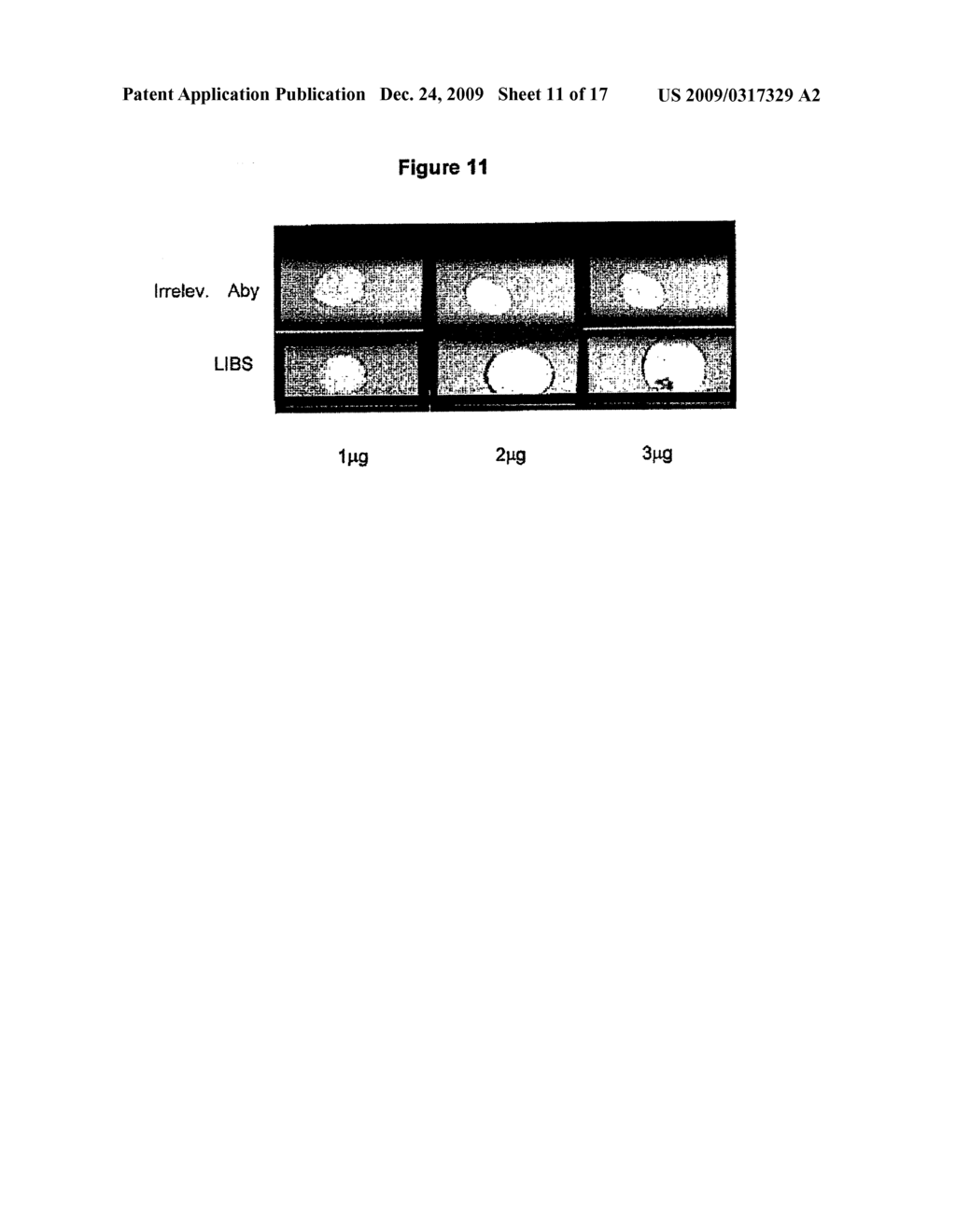 ANTICOAGULATION AGENT AND USES THEREOF - diagram, schematic, and image 12