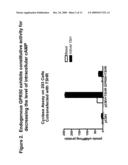 HUMAN G PROTEIN-COUPLED RECEPTOR AND MODULATORS THEREOF FOR THE TREATMENT OF OBESITY AND CONDITIONS RELATED THERETO diagram and image