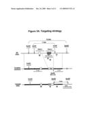 HUMAN G PROTEIN-COUPLED RECEPTOR AND MODULATORS THEREOF FOR THE TREATMENT OF OBESITY AND CONDITIONS RELATED THERETO diagram and image