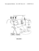 USE OF MYXOMA VIRUS FOR THE THERAPEUTIC TREATMENT OF CANCER AND CHRONIC VIRAL INFECTION diagram and image