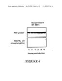 USE OF MYXOMA VIRUS FOR THE THERAPEUTIC TREATMENT OF CANCER AND CHRONIC VIRAL INFECTION diagram and image