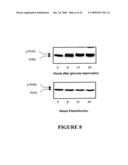 USE OF MYXOMA VIRUS FOR THE THERAPEUTIC TREATMENT OF CANCER AND CHRONIC VIRAL INFECTION diagram and image