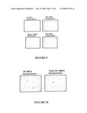 USE OF MYXOMA VIRUS FOR THE THERAPEUTIC TREATMENT OF CANCER AND CHRONIC VIRAL INFECTION diagram and image