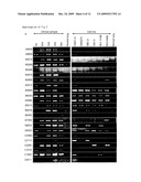 METHOD OF DIAGNOSING SMALL CELL LUNG CANCER diagram and image