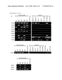 METHOD OF DIAGNOSING SMALL CELL LUNG CANCER diagram and image