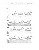 METHOD OF DIAGNOSING SMALL CELL LUNG CANCER diagram and image