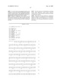 VASCULAR ENDOTHELIAL GROWTH FACTOR-2 diagram and image