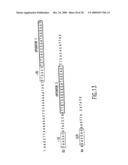 VASCULAR ENDOTHELIAL GROWTH FACTOR-2 diagram and image