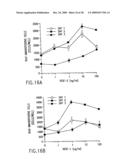 VASCULAR ENDOTHELIAL GROWTH FACTOR-2 diagram and image