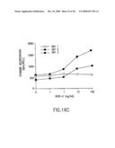 VASCULAR ENDOTHELIAL GROWTH FACTOR-2 diagram and image