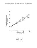 VASCULAR ENDOTHELIAL GROWTH FACTOR-2 diagram and image