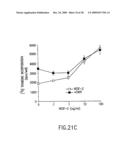 VASCULAR ENDOTHELIAL GROWTH FACTOR-2 diagram and image