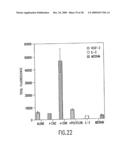 VASCULAR ENDOTHELIAL GROWTH FACTOR-2 diagram and image