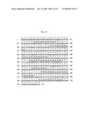 ANTIBODY SPECIFICALLY BINDING TO DR5 AND COMPOSITION FOR PREVENTING OR TREATING CANCERS COMPRISING THE SAME diagram and image