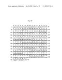 ANTIBODY SPECIFICALLY BINDING TO DR5 AND COMPOSITION FOR PREVENTING OR TREATING CANCERS COMPRISING THE SAME diagram and image