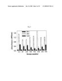 ANTIBODY SPECIFICALLY BINDING TO DR5 AND COMPOSITION FOR PREVENTING OR TREATING CANCERS COMPRISING THE SAME diagram and image