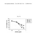 ANTIBODY SPECIFICALLY BINDING TO DR5 AND COMPOSITION FOR PREVENTING OR TREATING CANCERS COMPRISING THE SAME diagram and image