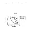 ANTIBODY SPECIFICALLY BINDING TO DR5 AND COMPOSITION FOR PREVENTING OR TREATING CANCERS COMPRISING THE SAME diagram and image