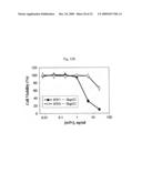 ANTIBODY SPECIFICALLY BINDING TO DR5 AND COMPOSITION FOR PREVENTING OR TREATING CANCERS COMPRISING THE SAME diagram and image