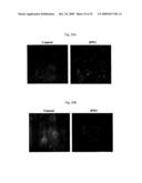 ANTIBODY SPECIFICALLY BINDING TO DR5 AND COMPOSITION FOR PREVENTING OR TREATING CANCERS COMPRISING THE SAME diagram and image