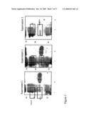 ANTIBODY AND USES THEREOF diagram and image