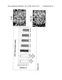 ANTIBODY AND USES THEREOF diagram and image