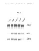 Phosphorylation of tau by abl diagram and image