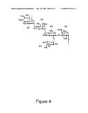 USE OF ZWITTERIONIC POLYSACCHARIDES FOR THE SPECIFIC MODULATION OF IMMUNE PROCESSES diagram and image