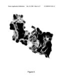 USE OF ZWITTERIONIC POLYSACCHARIDES FOR THE SPECIFIC MODULATION OF IMMUNE PROCESSES diagram and image